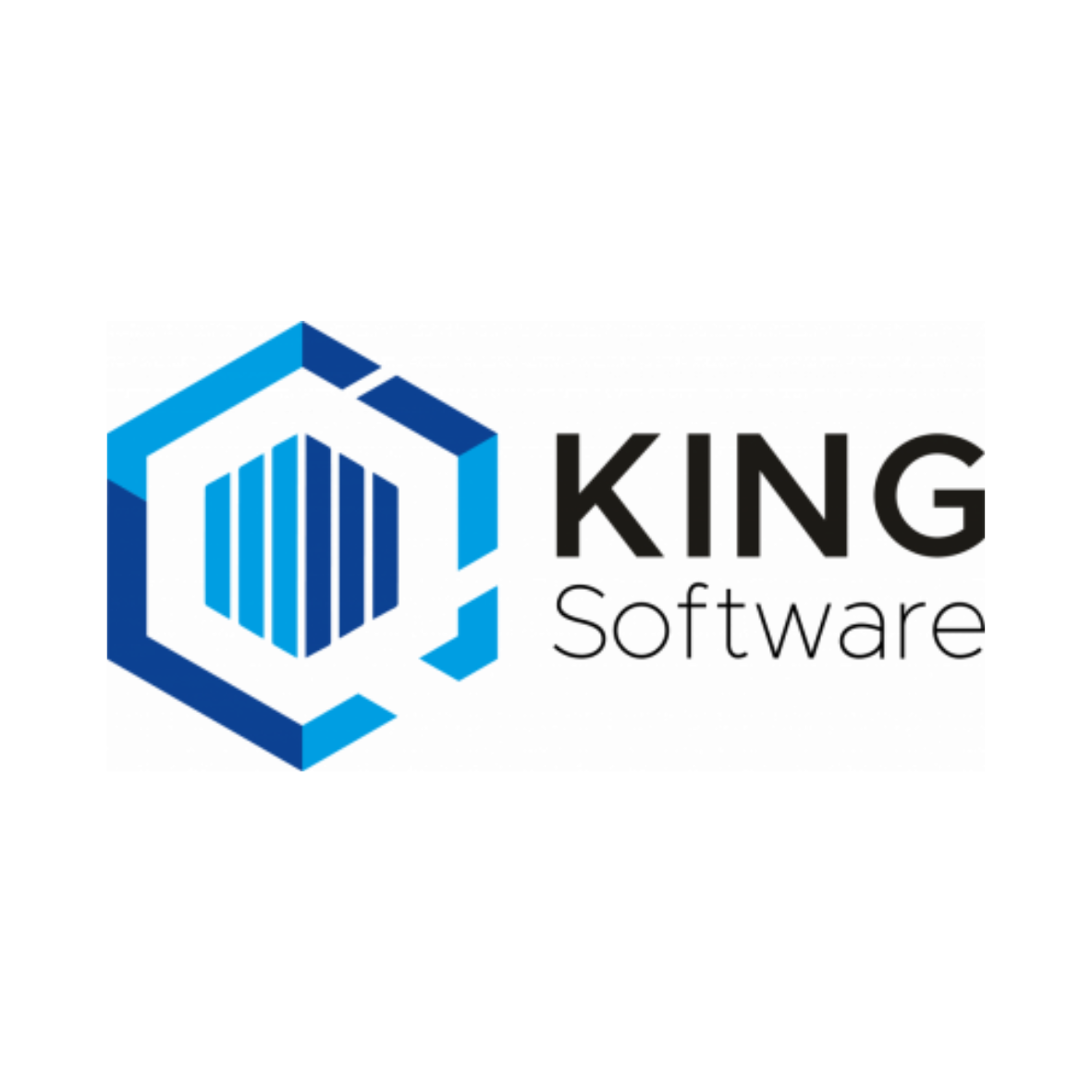 KING ERP